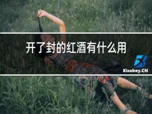 开了封的红酒有什么用