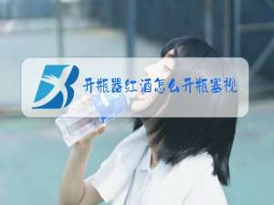 开瓶器红酒怎么开瓶塞视频