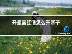开瓶器红酒怎么开塞子