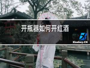 开瓶器如何开红酒