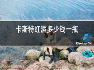 卡斯特红酒多少钱一瓶