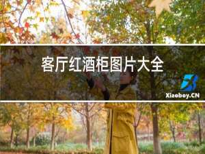 客厅红酒柜图片大全