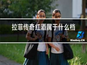拉菲传奇红酒属于什么档次