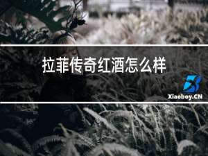 拉菲传奇红酒怎么样