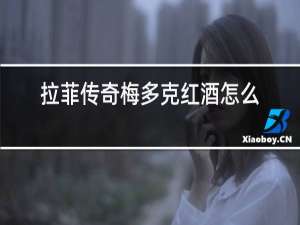 拉菲传奇梅多克红酒怎么样