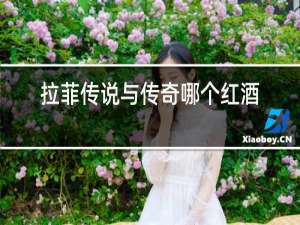 拉菲传说与传奇哪个红酒好