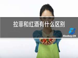 拉菲和红酒有什么区别