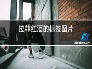 拉菲红酒的标签图片