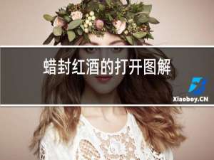 蜡封红酒的打开图解