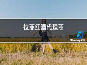 拉菲红酒代理商