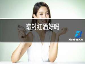 蜡封红酒好吗