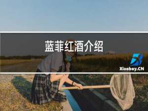 拉菲红酒介绍