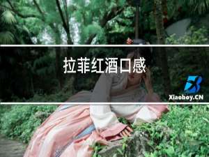 拉菲红酒口感