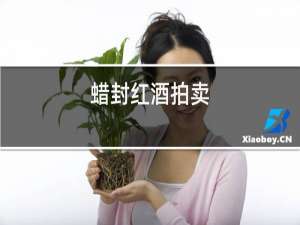 蜡封红酒拍卖