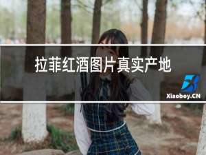拉菲红酒图片真实产地