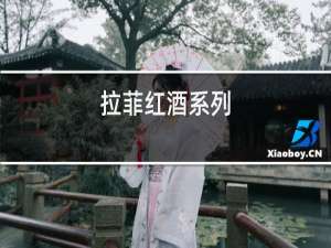 拉菲红酒系列