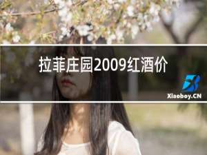 拉菲庄园2009红酒价格