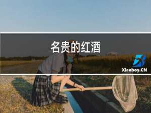 买高档红酒