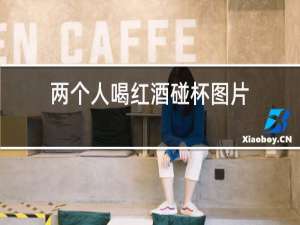 两个人喝红酒碰杯图片
