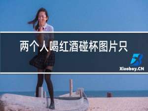 两个人喝红酒碰杯图片真实