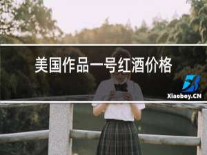 美国作品一号红酒价格