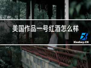 美国作品一号红酒怎么样