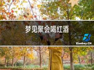 梦见聚会喝红酒