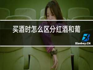 买酒时怎么区分红酒和葡萄酒