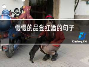 慢慢的品尝红酒的句子