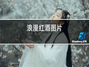 浪漫红酒图片