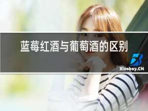 蓝莓红酒与葡萄酒的区别