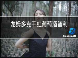 龙姆多克干红葡萄酒智利原瓶进口