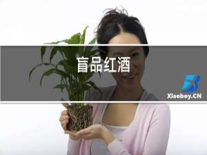 名牌红酒
