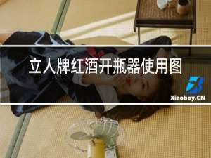立人牌红酒开瓶器使用图解