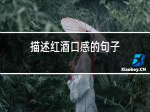 描述红酒口感的句子