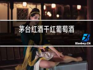茅台红酒干红葡萄酒