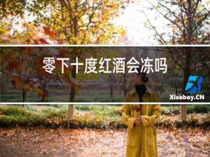 零下十度红酒会冻吗