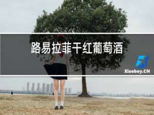 路易拉菲干红葡萄酒