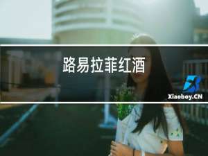 路易拉菲红酒