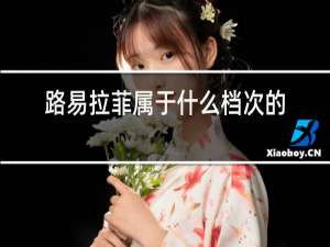 路易拉菲属于什么档次的红酒