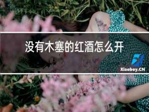 没有木塞的红酒怎么开