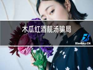 木瓜红酒靓汤骗局
