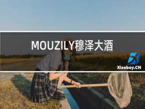 MOUZILY穆泽大酒窖干红葡萄酒红酒