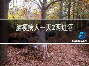 脑梗病人一天2两红酒