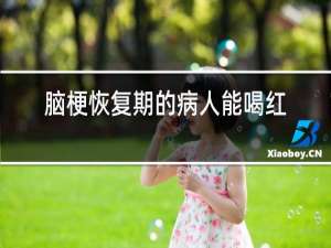 脑梗恢复期的病人能喝红酒吗