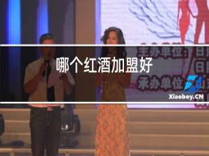 哪个红酒加盟好