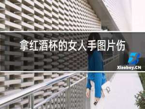 拿红酒杯的女人手图片伤感
