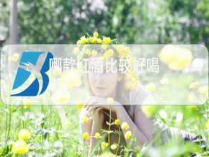哪款红酒比较好喝
