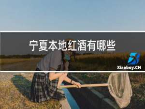 宁夏本地红酒有哪些