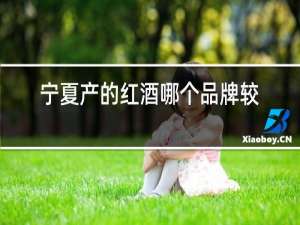 宁夏产的红酒哪个品牌较好